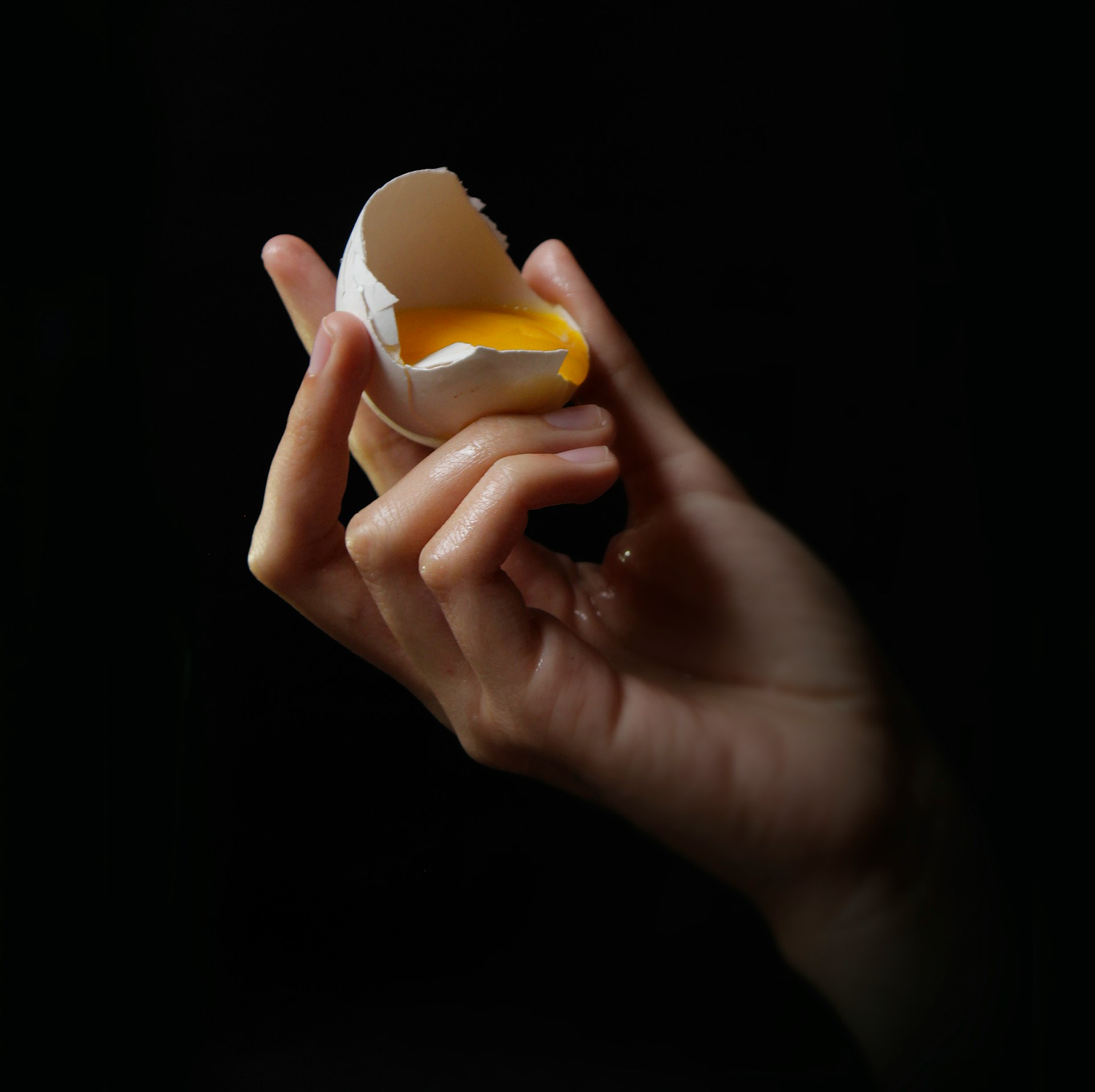 Can you compost eggshells?