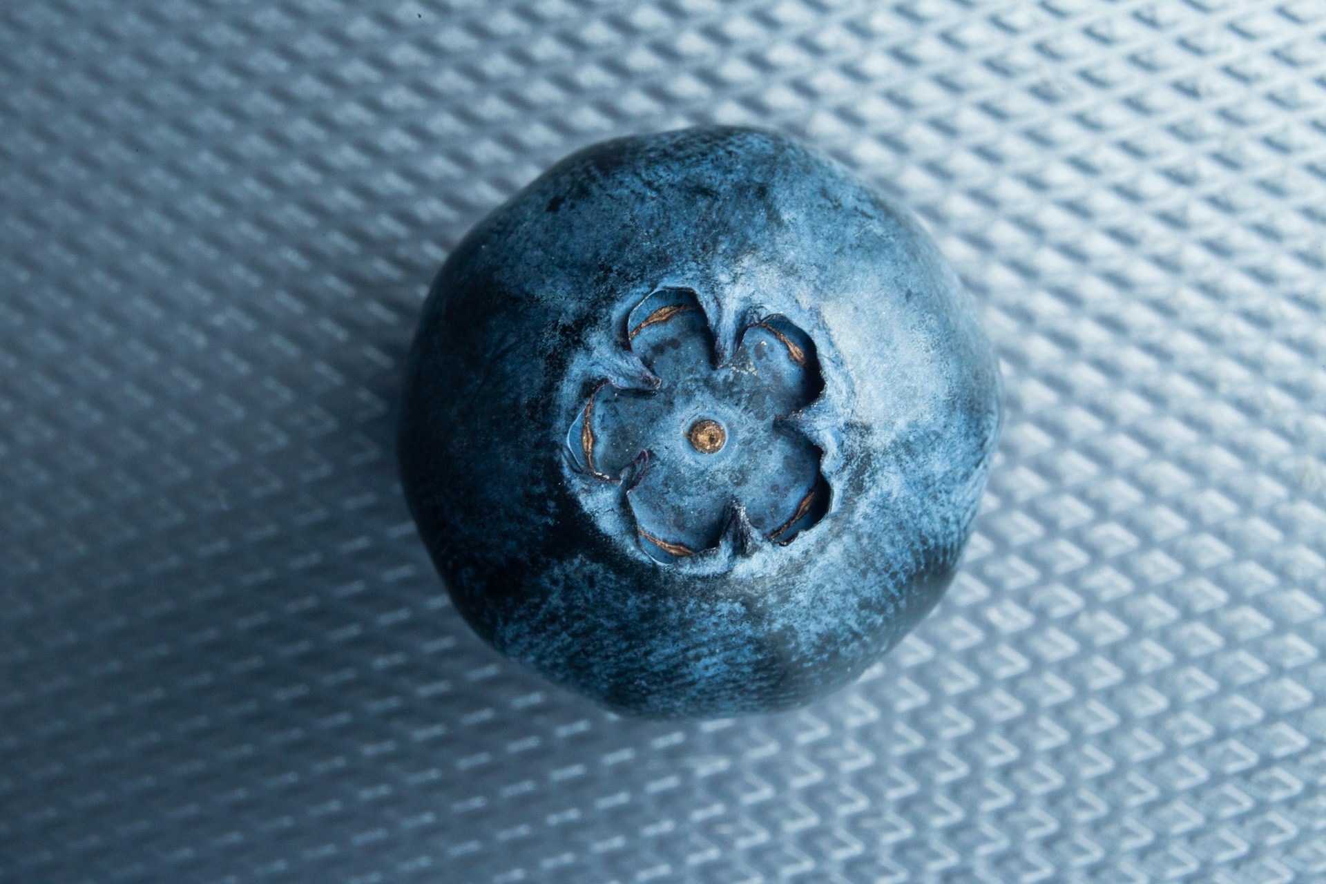 How to store blueberries