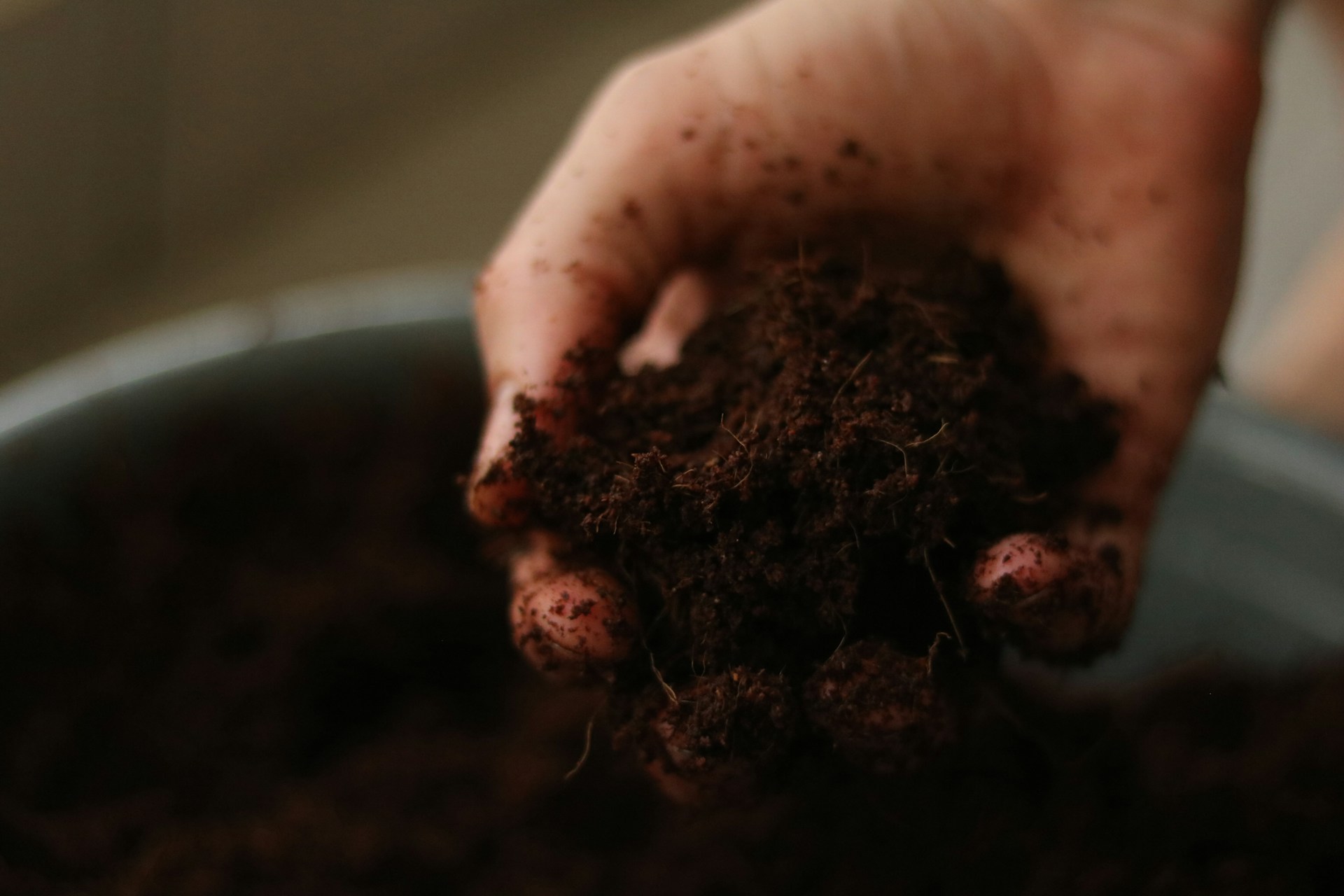 How to plant a garden gardening tips 2