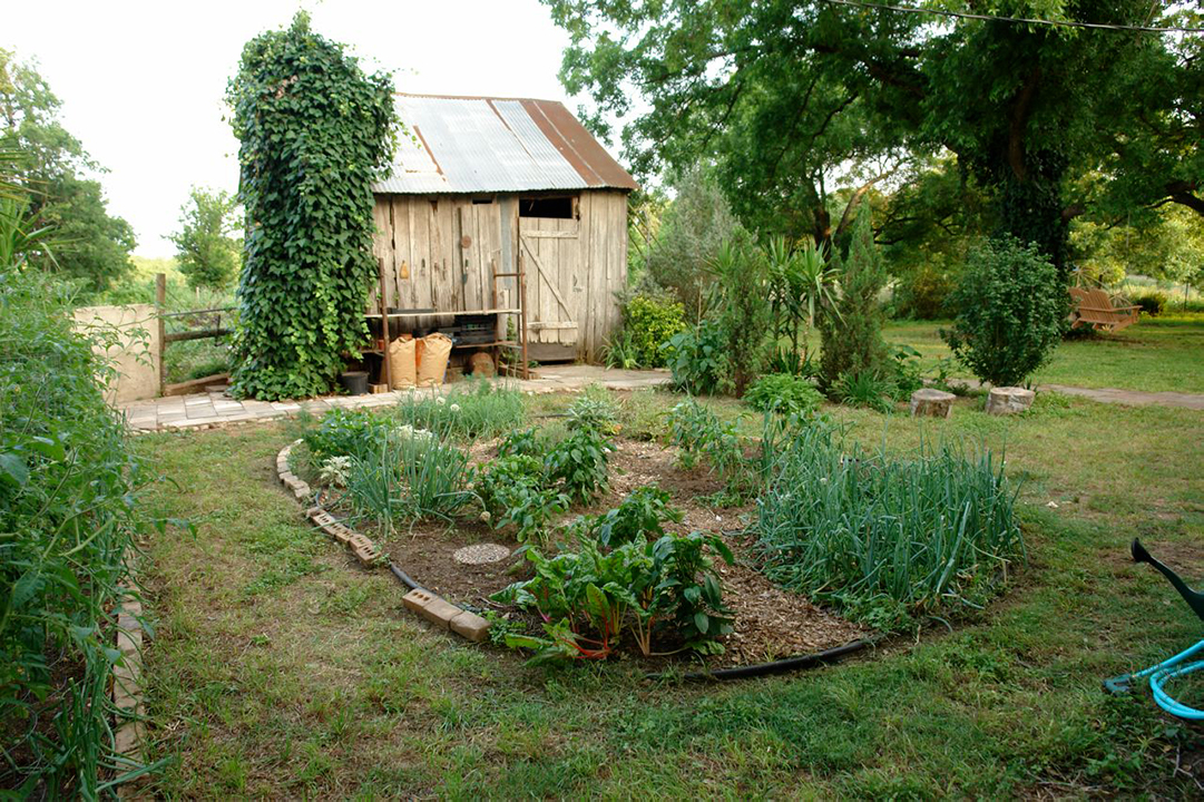 vegetable garden without salmonella