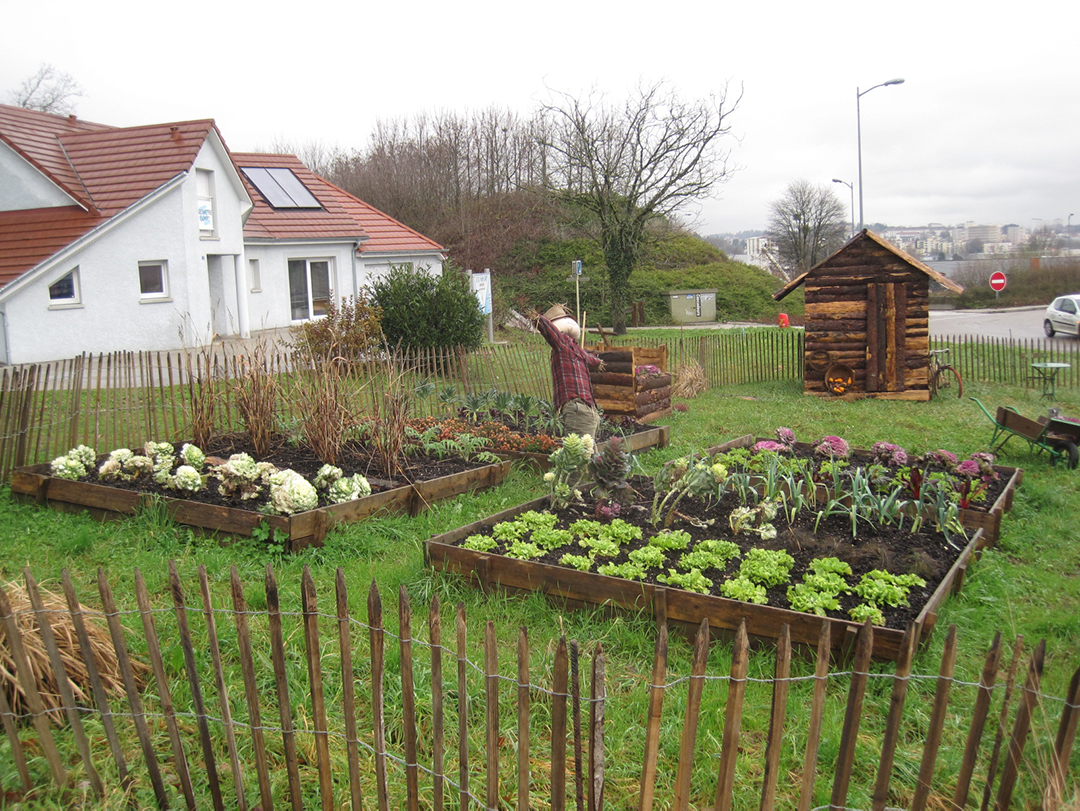 vegetable garden compost
